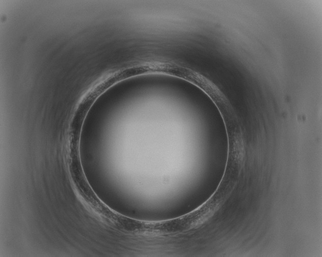 X0000081490730200701121509