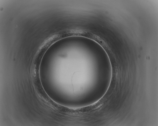 X0000081490731200701121509