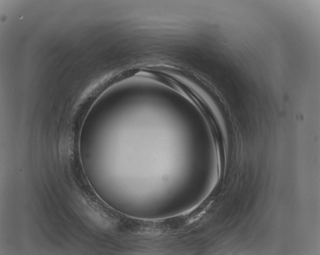 X0000081490732200701121509