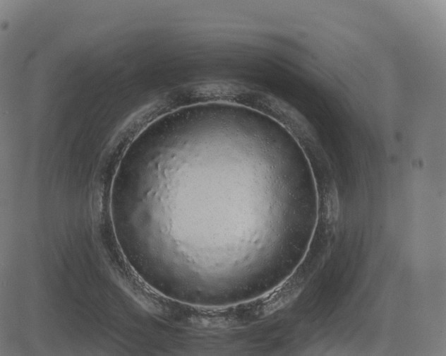 X0000081490733200701121509