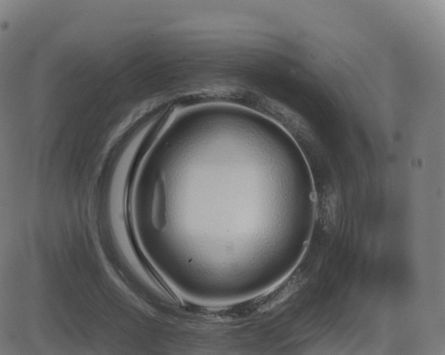 X0000081490734200701121509