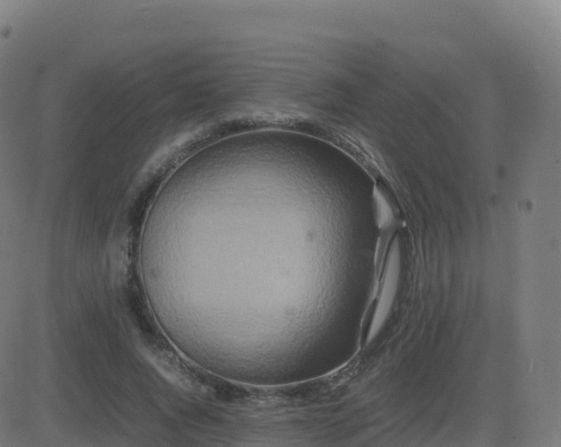 X0000081490736200701121509