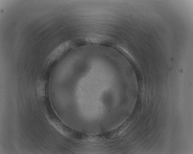 X0000081490738200701121509