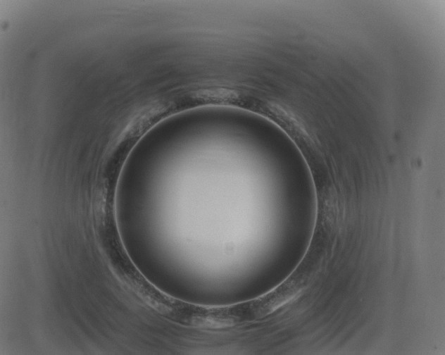 X0000081490739200701121509