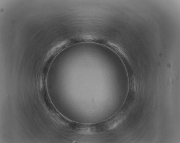 X0000081490740200701121509