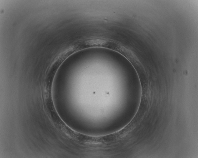 X0000081490743200701121509