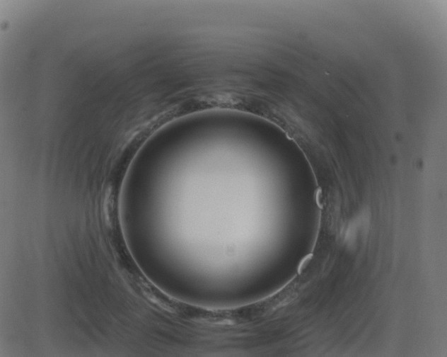 X0000081490747200701121509