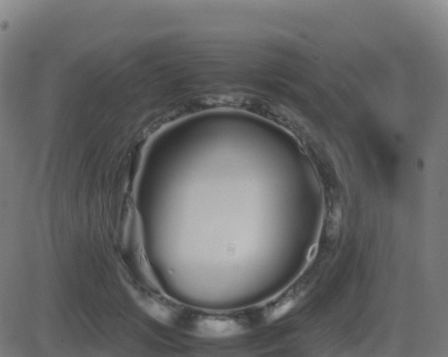 X0000081490749200701121510