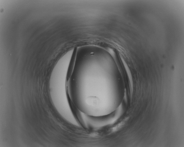 X0000081490750200701121510