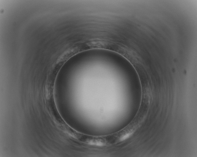 X0000081490751200701121510