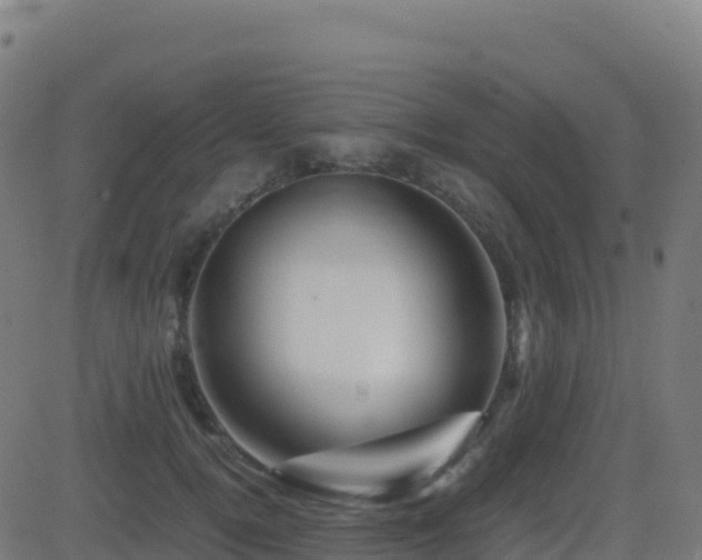 X0000081490752200701121510