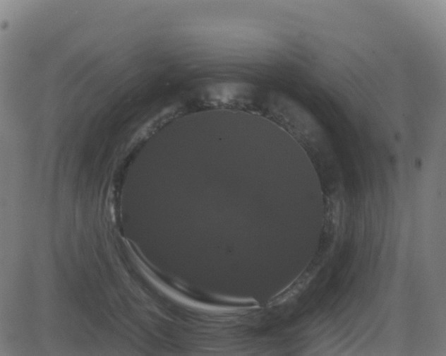 X0000081490754200701121510