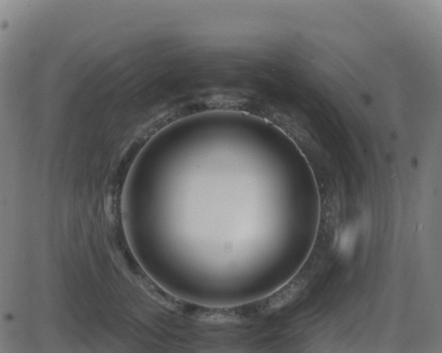 X0000081490755200701121510