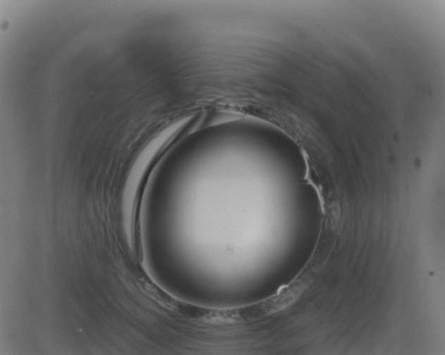 X0000081490756200701121510