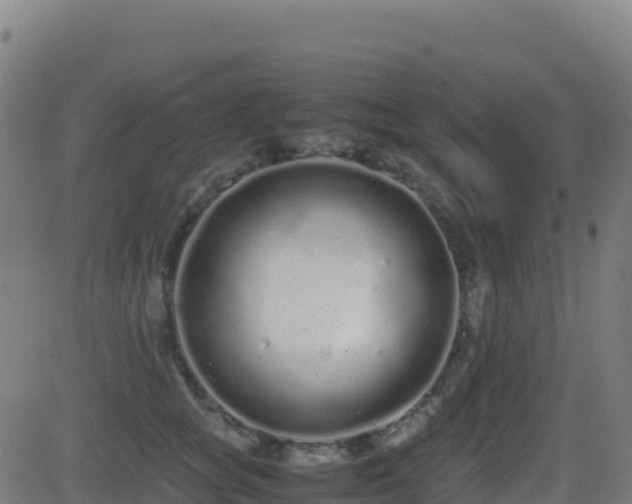 X0000081490757200701121510