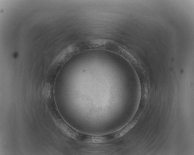 X0000081490758200701121510