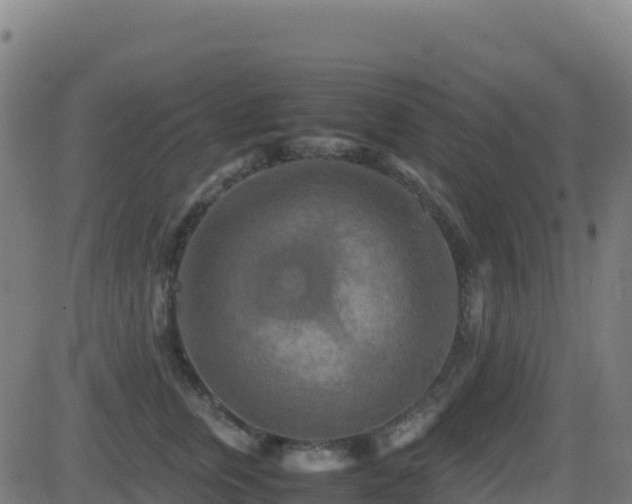 X0000081490759200701121510