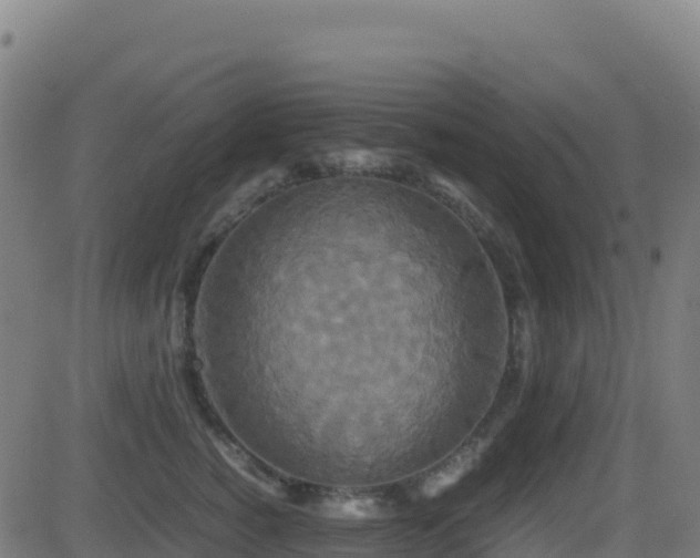 X0000081490760200701121510