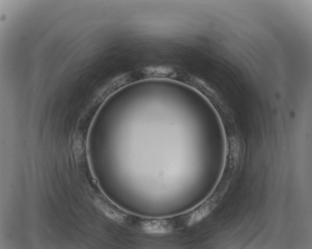 X0000081490761200701121510