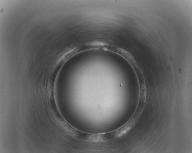 X0000081490762200701121510