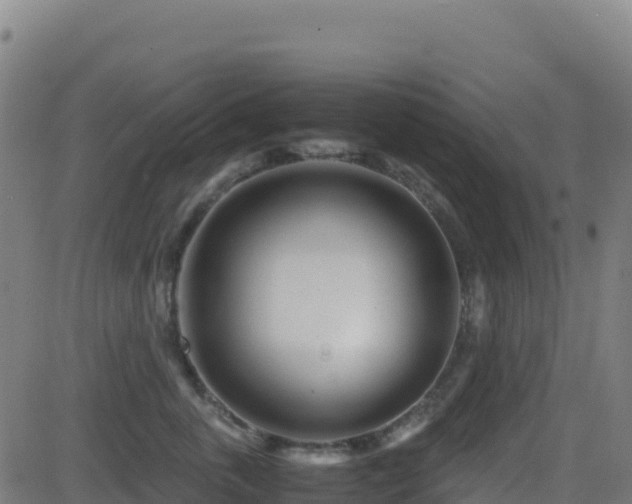 X0000081490763200701121510