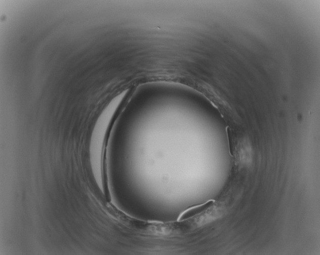 X0000081490764200701121510