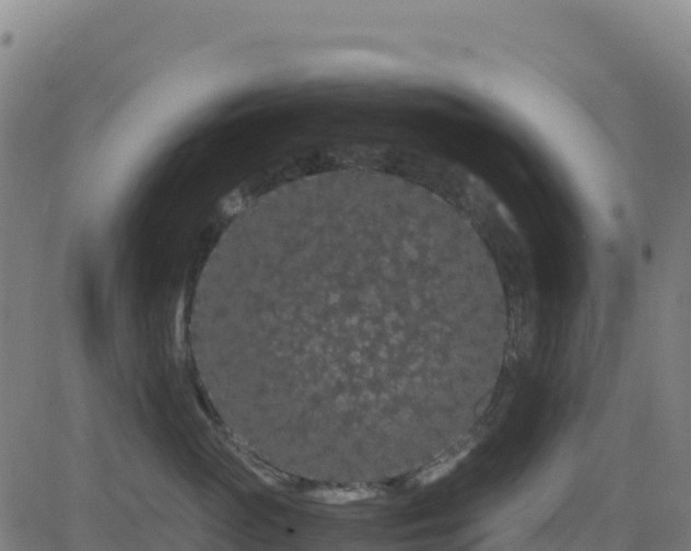 X0000081490765200701121510