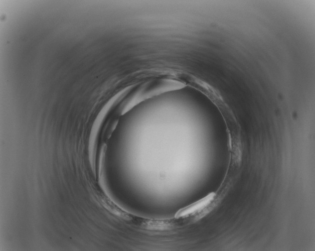 X0000081490766200701121510