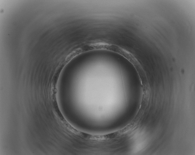 X0000081490767200701121510