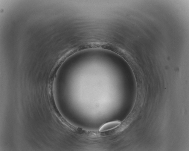 X0000081490768200701121510