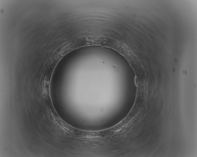 X0000081490770200701121509