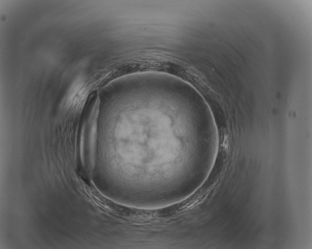 X0000081490771200701121509