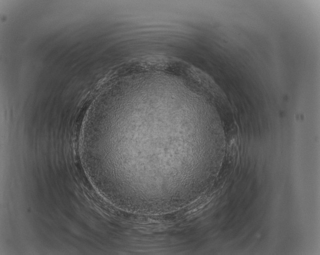 X0000081490772200701121509