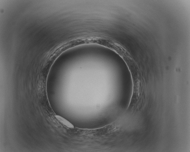 X0000081490773200701121509