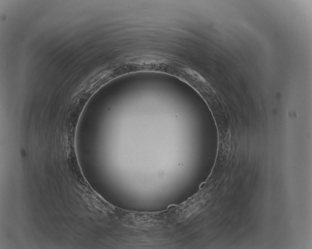 X0000081490774200701121509