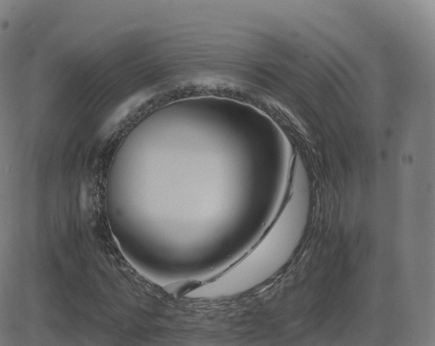 X0000081490776200701121509