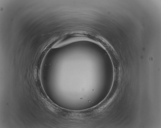 X0000081490777200701121509