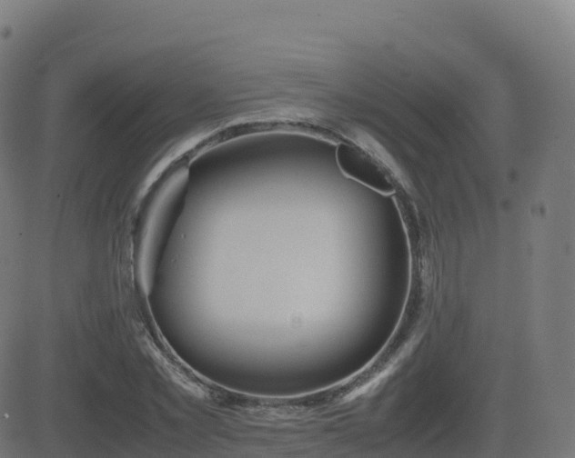 X0000081490781200701121509