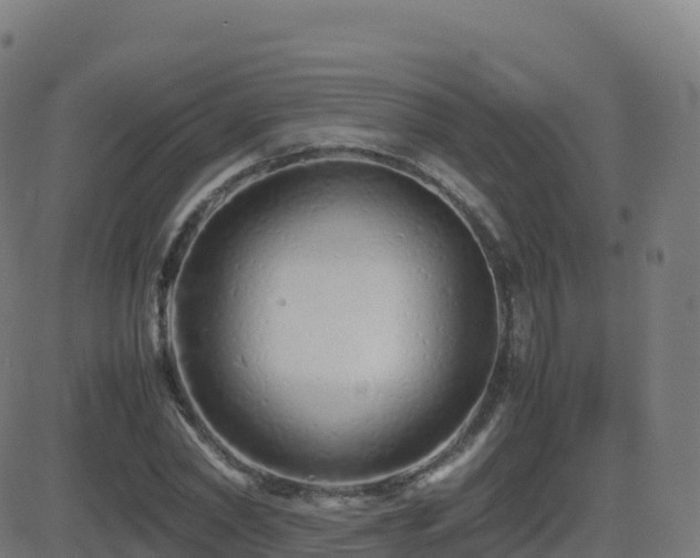 X0000081490782200701121509