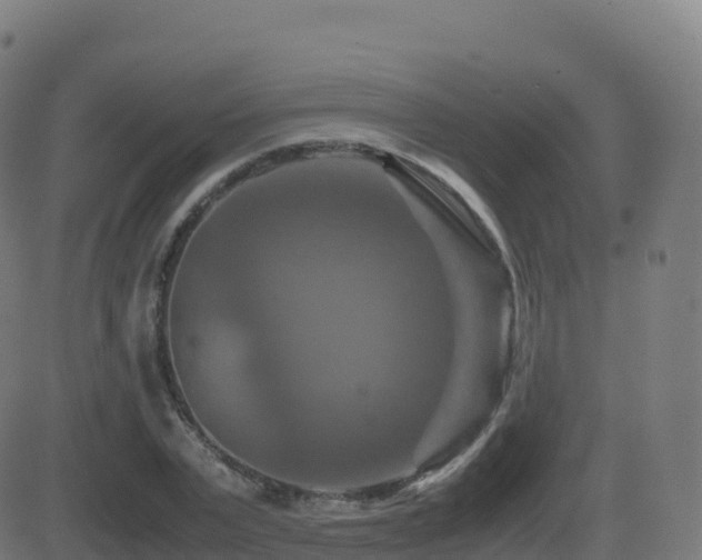 X0000081490783200701121509