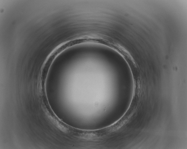 X0000081490784200701121509