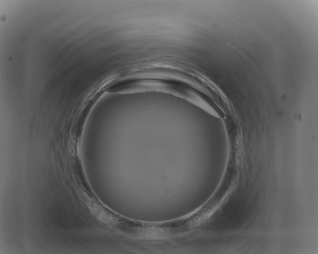 X0000081490785200701121509