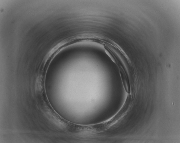 X0000081490786200701121509