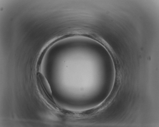 X0000081490787200701121509