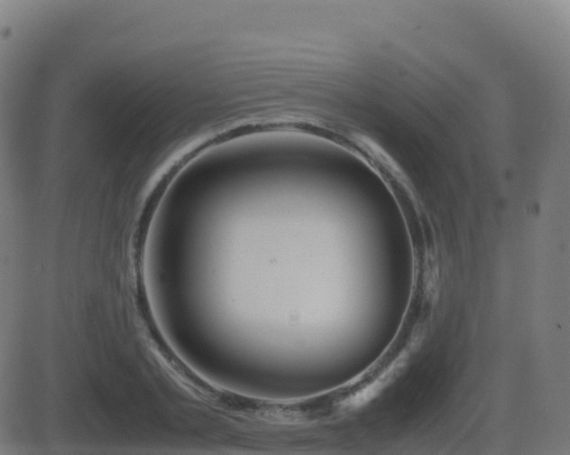 X0000081490789200701121509