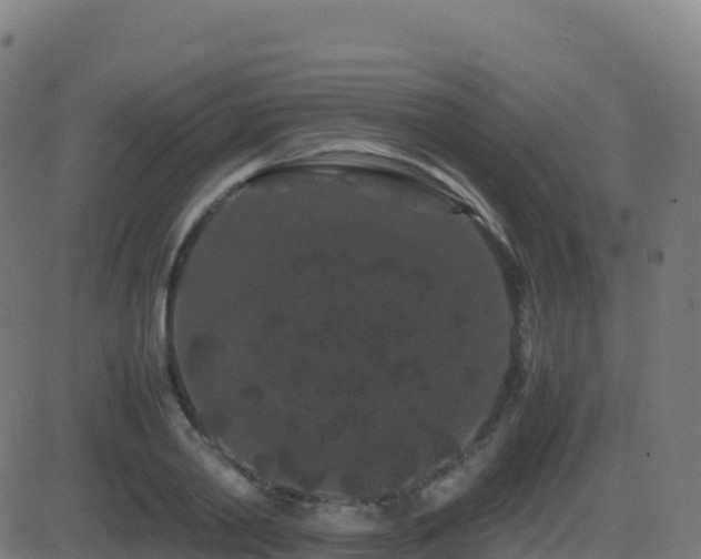 X0000081490790200701121509