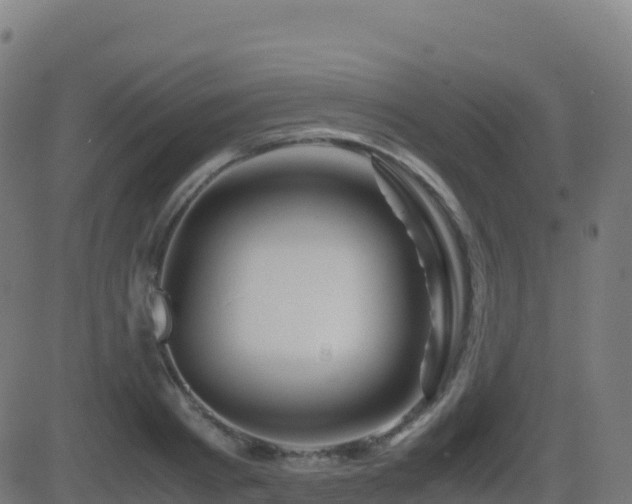 X0000081490793200701121509