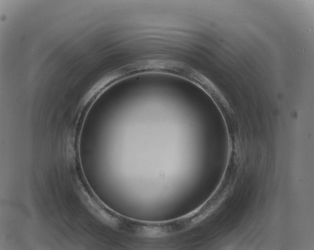 X0000081490794200701121509