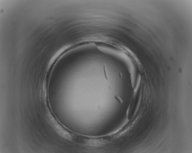 X0000081490796200701121509