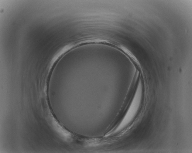 X0000081490797200701121509